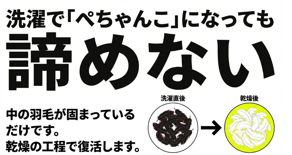 ぺちゃんこになった羽毛をほぐす乾燥機の使い方