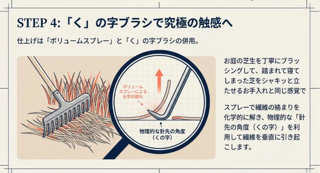 「く」の字ブラシで毛並みを垂直に引き起こす仕上げ術