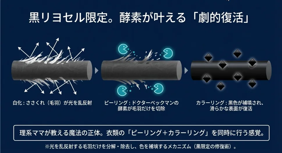 フィブリル化した毛羽を酵素で溶かして黒を呼び戻す