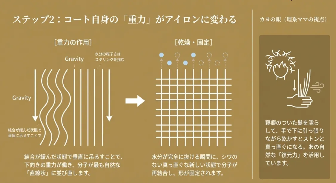重力がアイロン代わり！分子を真っ直ぐに整えるセルフ重力
