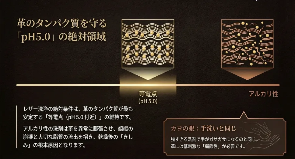 革のタンパク質を守るなら「pH管理」で繊維のきしみを防ぐ